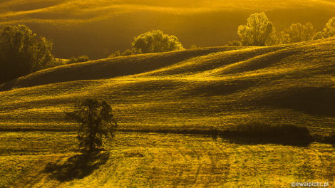 Toskańska jesień, plastyka obrazu, światło w fotografii