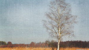 Jak nałożyć teksturę na zdjęcie