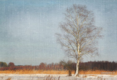 Jak nałożyć teksturę na zdjęcie