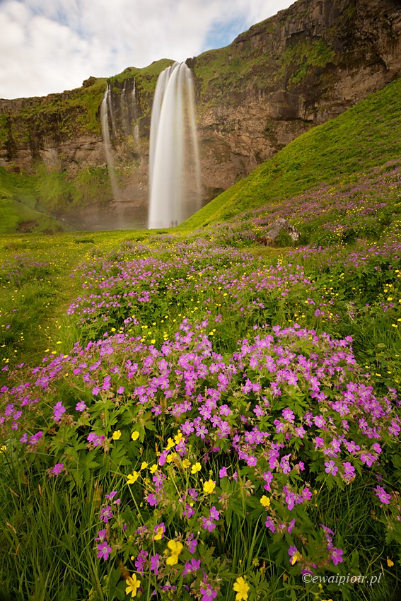 Islandia, co ustawić w aparacie