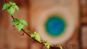 Próbnik kolorów dla fotografa