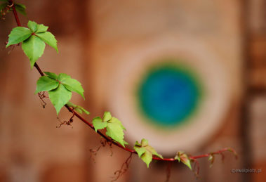 Próbnik kolorów dla fotografa