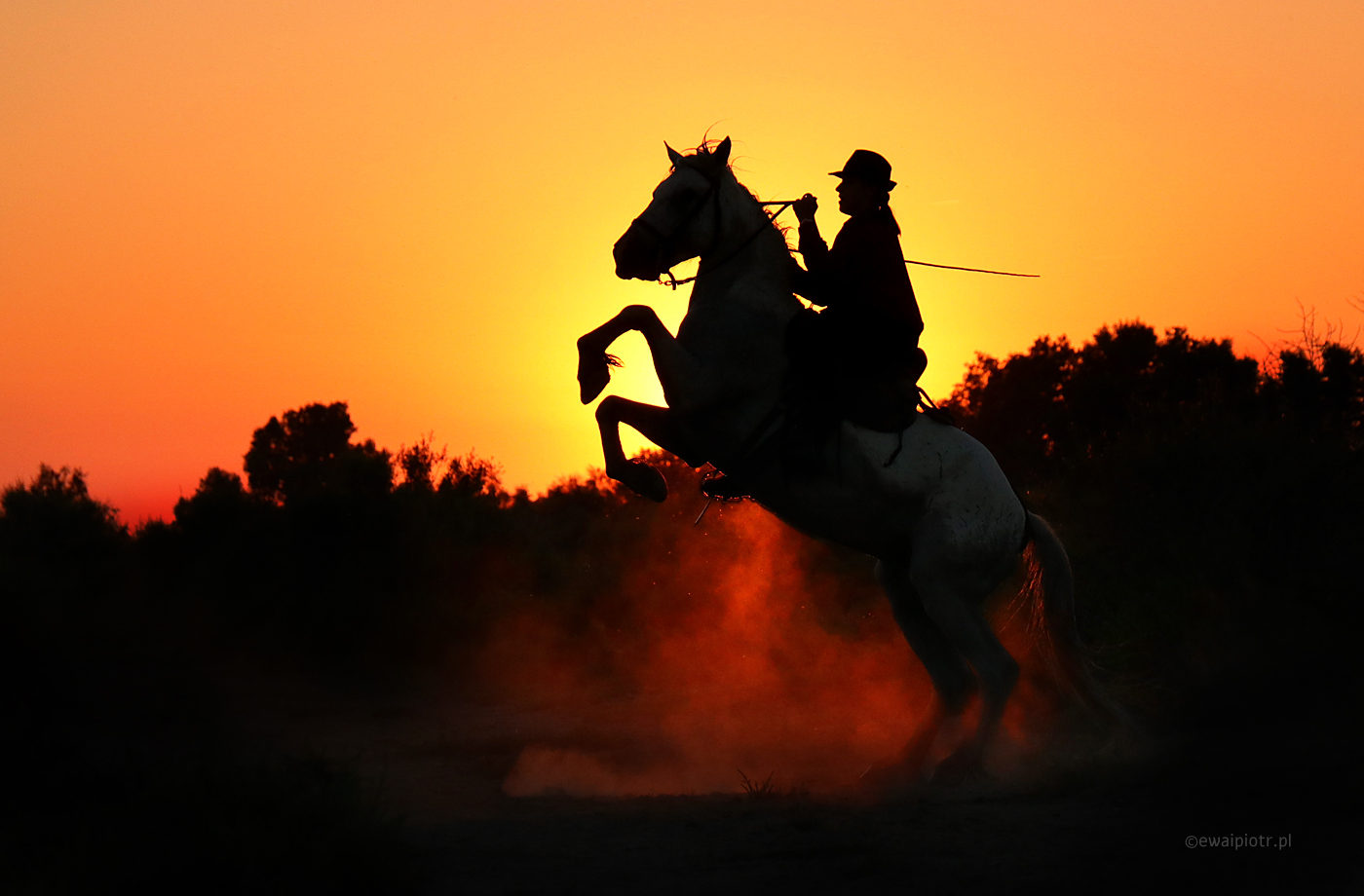 Duży kontrast, jak fotografować, rozpiętość tonalna, poradnik fotograficzny, jeździec na tle zachodzącego słońca
