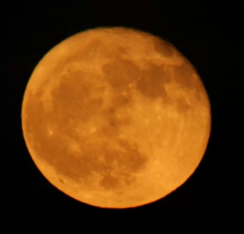 fotomontaż, krajobraz z ptakami i księżyc