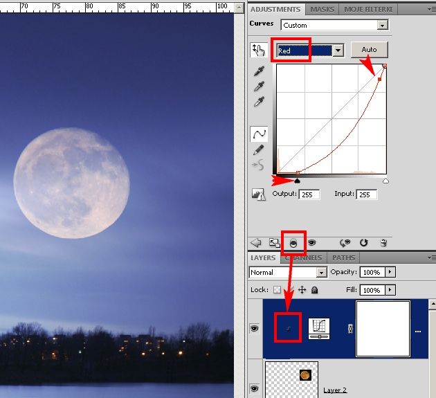fotomontaż, krajobraz z ptakami i księżycem