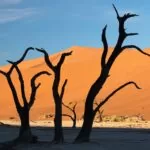 Wydmy w Namibii