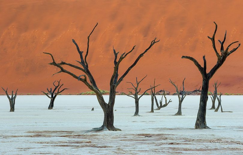 Deadvlei - martwy las w Namibii, Namibia fotograficzna kraina marzeń, poradnik fotograficzny