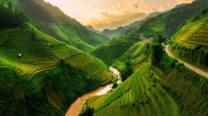 Wietnam - fotowyprawa na tarasy ryżowe
