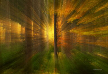 Techniki intencjonalnego poruszenia pozwalają uzyskać niezwykłe, malarskie efekty na zdjęciach.