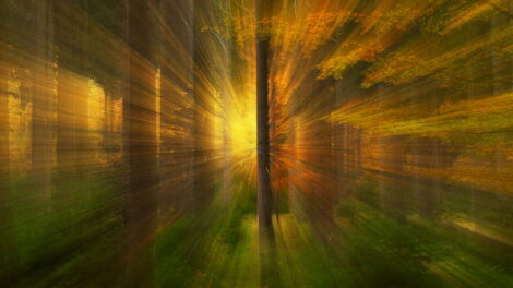 Techniki intencjonalnego poruszenia pozwalają uzyskać niezwykłe, malarskie efekty na zdjęciach.