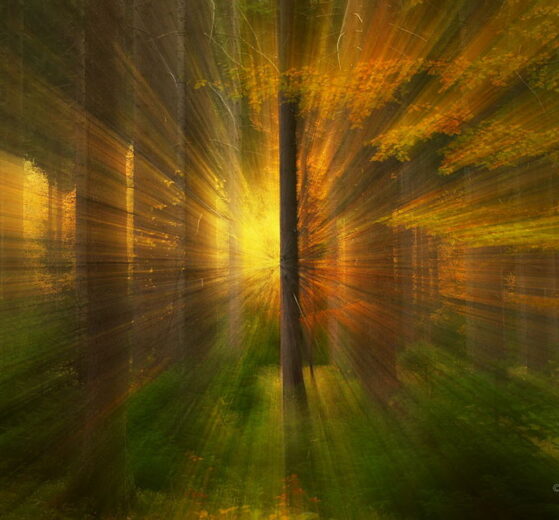 Techniki intencjonalnego poruszenia pozwalają uzyskać niezwykłe, malarskie efekty na zdjęciach.