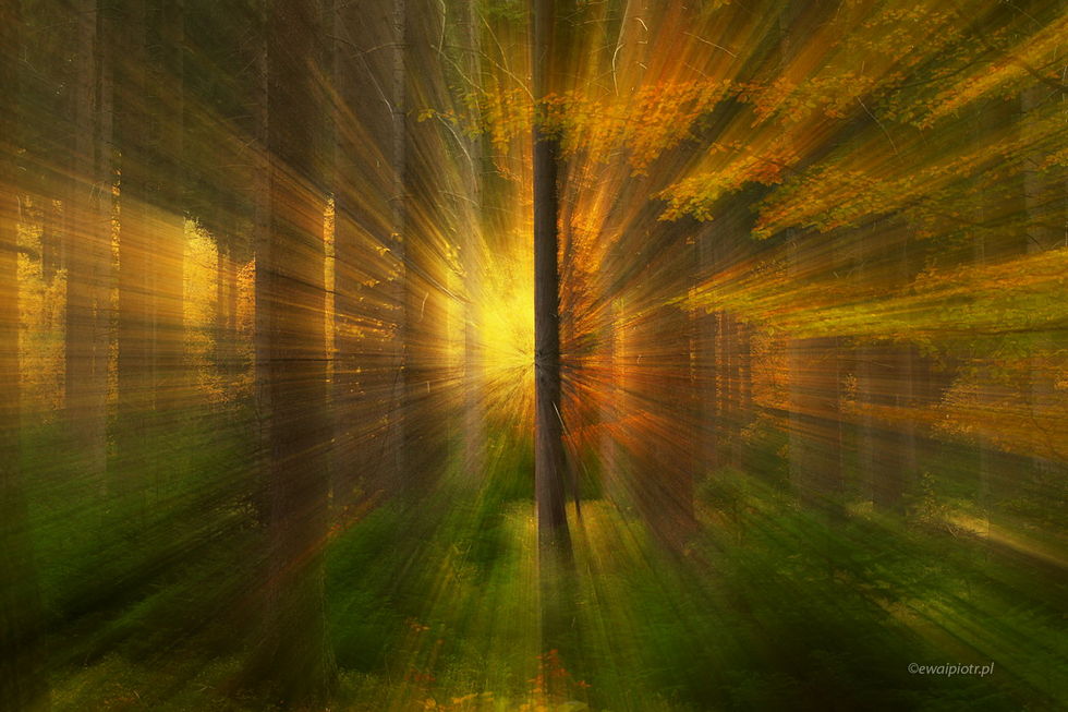 Techniki intencjonalnego poruszenia pozwalają uzyskać niezwykłe, malarskie efekty na zdjęciach.