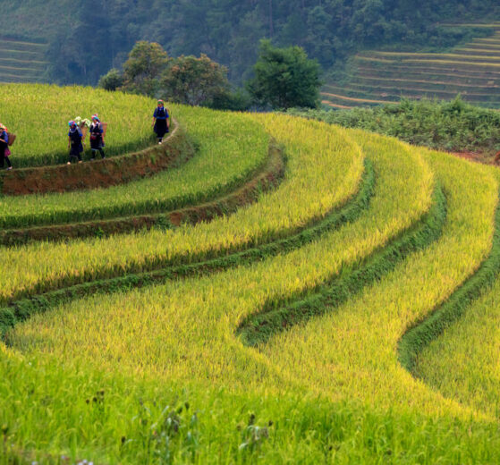 Fotografowanie w Wietnamie, rozmowa o fotografowaniu Wietnamu,
