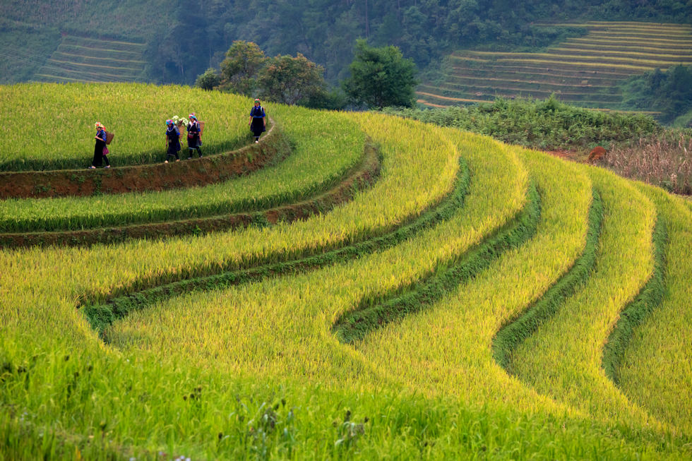 Fotografowanie w Wietnamie, rozmowa o fotografowaniu Wietnamu,