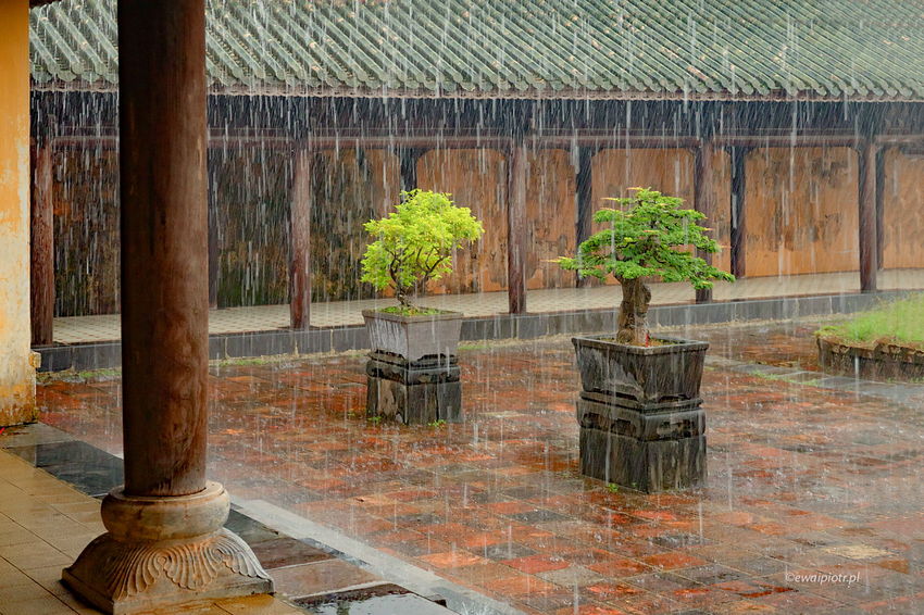 Pałac cesarski w Hue w deszczu, Wietnam, fotografowanie w Wietnamie