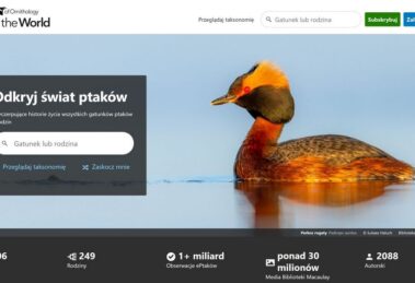 Baza obserwacji ptaków świata