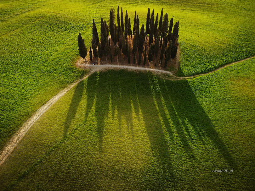 Cyprysy w Toskanii z drona, dron dla fotografa krajobrazów