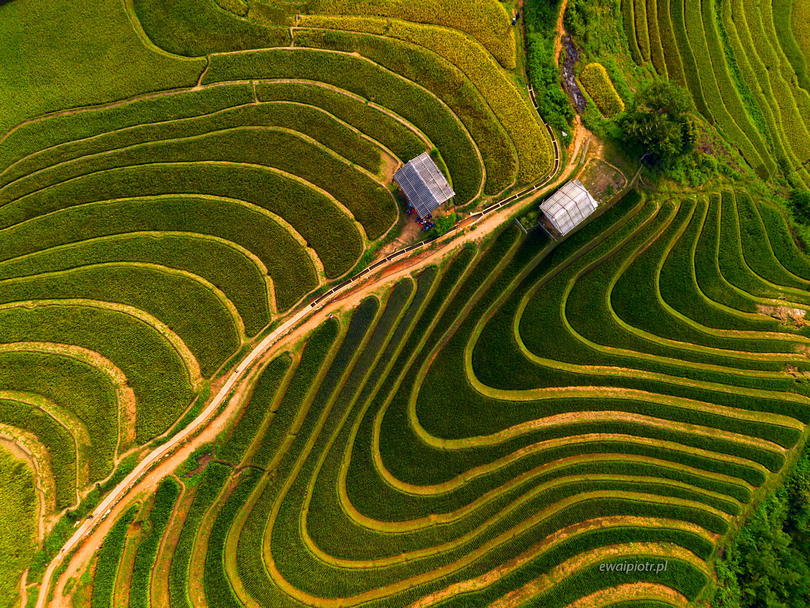 Ryżowe tarasy Wietnamu z drona, jaki dron dla fotografa krajobrazów