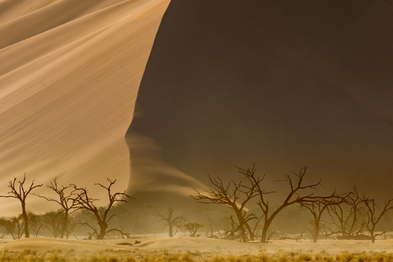 Potężna wydma i małe akacje, Namibia, kontrola perspektywy w fotografii krajobrazu, poradnik dla fotografa