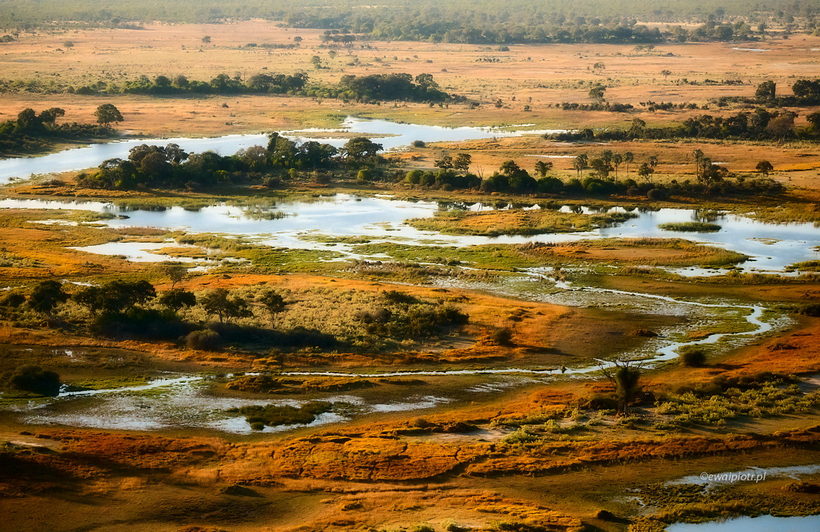Krajobraz delty Okawango z helikoptera, fotografowanie z helikoptera poradnik