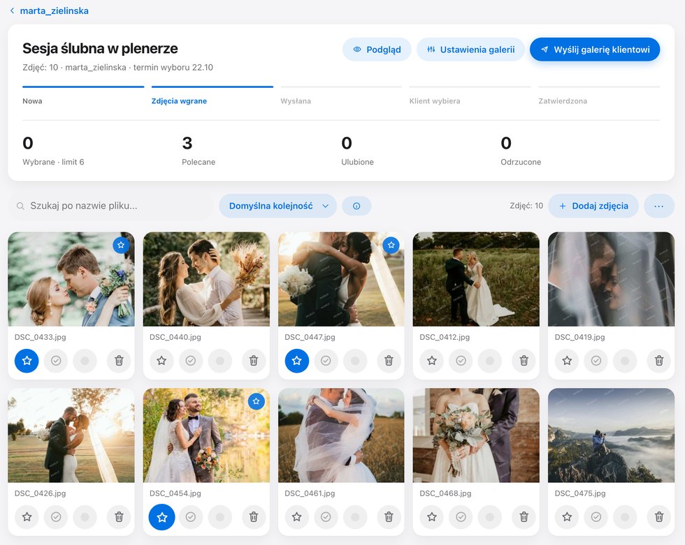Wybór zdjęć przez klienta w galerii online, Picvelo
