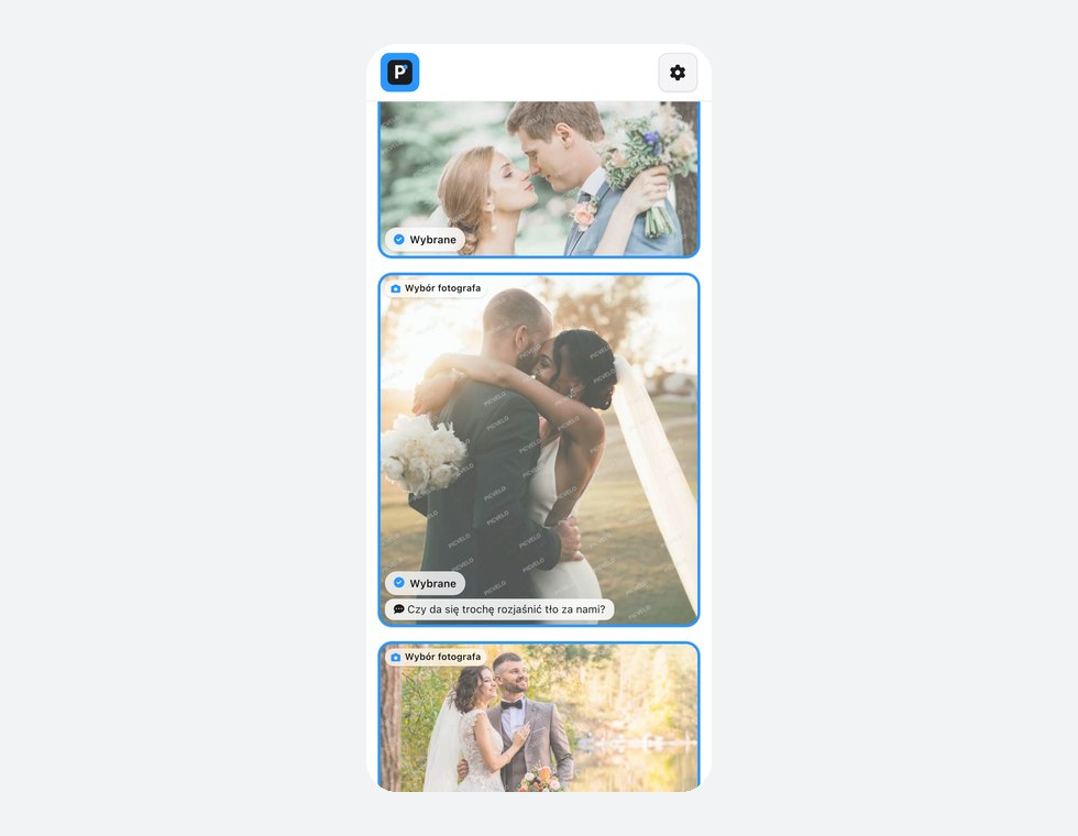 Wybór zdjęć przez klienta w galerii online, Picvelo